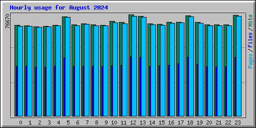 Hourly usage for August 2024