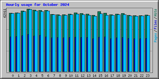 Hourly usage for October 2024