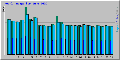 Hourly usage for June 2025