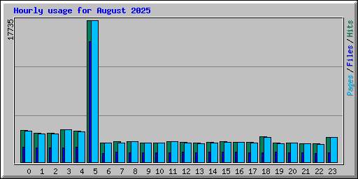 Hourly usage for August 2025