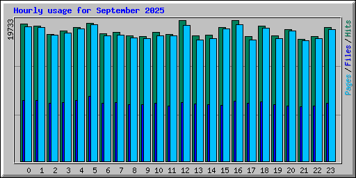 Hourly usage for September 2025