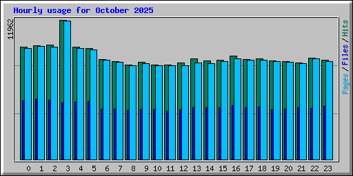 Hourly usage for October 2025