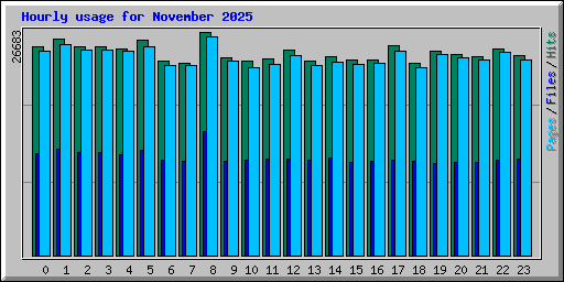 Hourly usage for November 2025