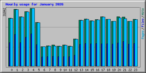 Hourly usage for January 2026